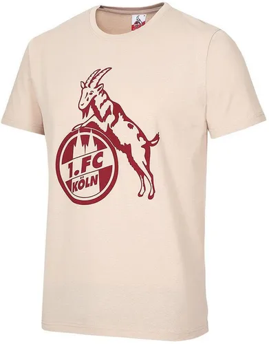1. FC Köln T-Shirt T-Shirt Basic Beige