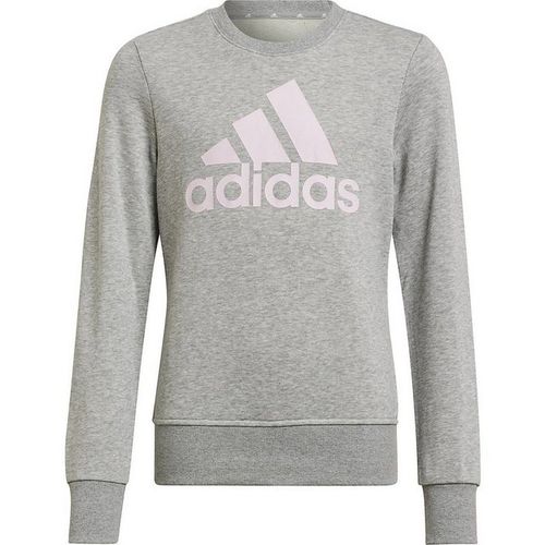 adidas Sportswear Sweatshirt Sweatshirt BL SWT für Mädchen