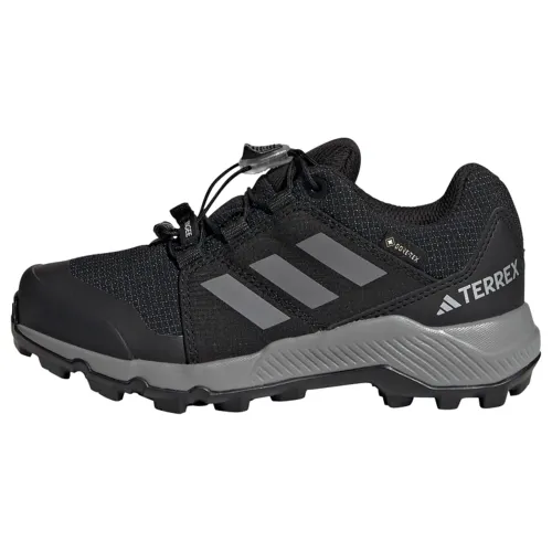 adidas Terrex Gore-TEX Hiking Shoes-Low (Non Football)