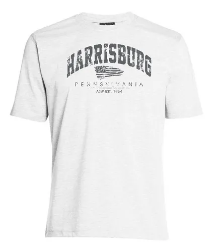 AHORN SPORTSWEAR T-Shirt HARRISBURG mit modischem Print
