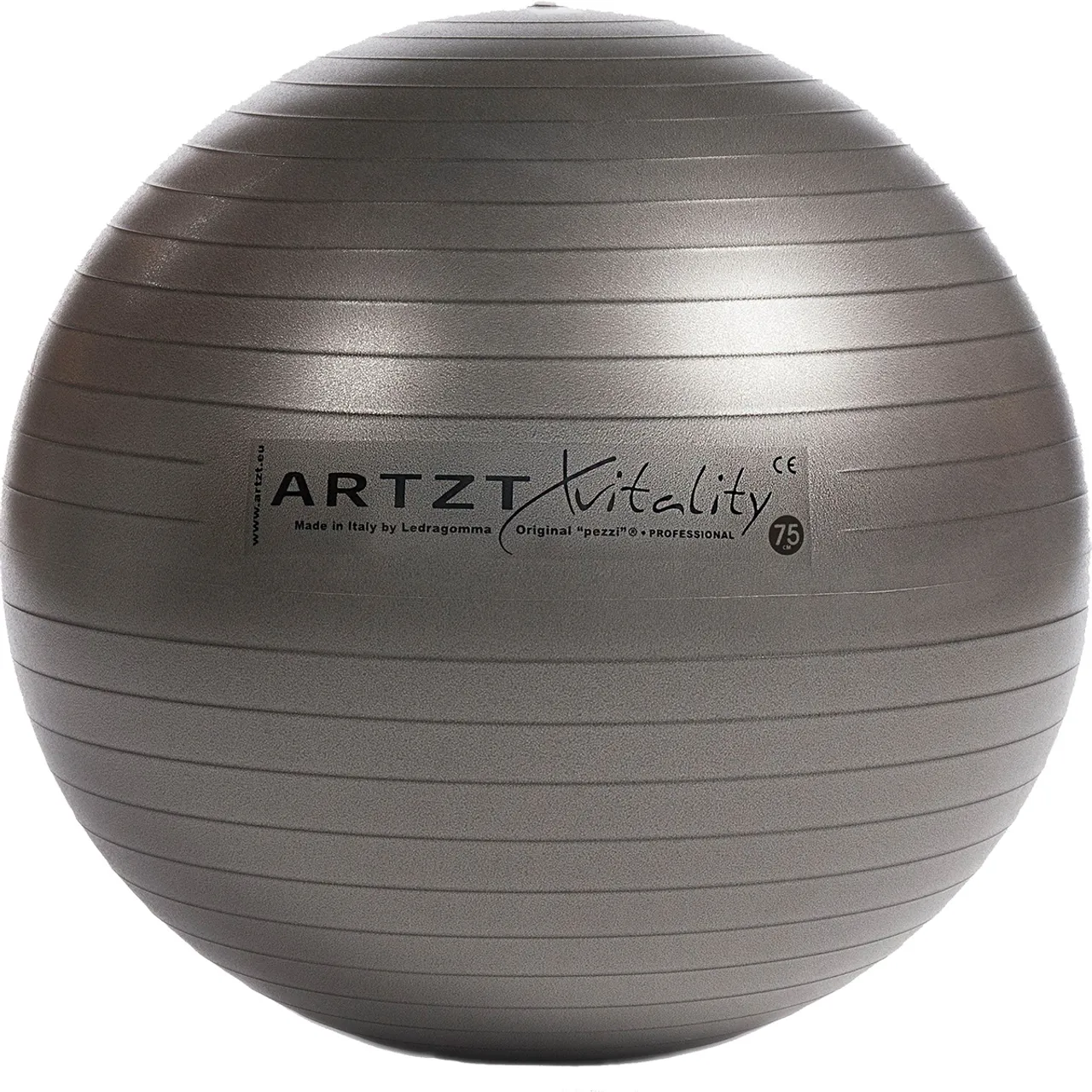 Artzt vitality Fitness-Ball Professional
