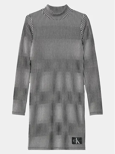 Calvin Klein Jeans Kleid für den Alltag IG0IG02258 Schwarz Regular Fit