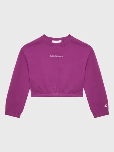 Calvin Klein Jeans Sweatshirt Logo IG0IG01866 Violett Boxy Fit