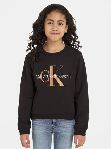 Calvin Klein Jeans Sweatshirt Monogram IG0IG02207 Schwarz Regular Fit