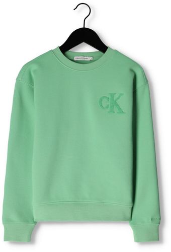 Calvin Klein Sweatshirt Interlock Pique Sweatshirt Grün Jungen