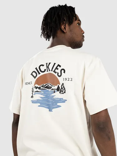 Dickies Beach T-Shirt whitecap gray