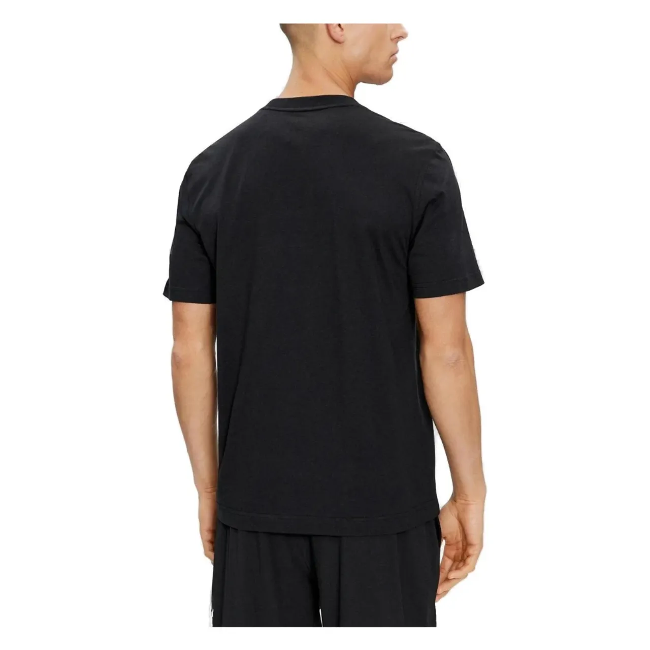 Herren T-Shirt Frühling/Sommer Kollektion Calvin Klein