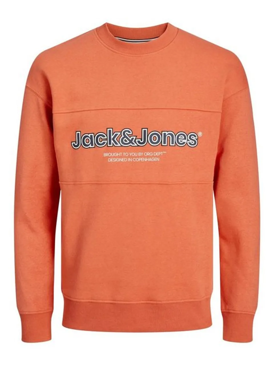 Jack & Jones Junior Sweatshirt JORLAKEWOOD SWEAT CREW NECK BF JNR