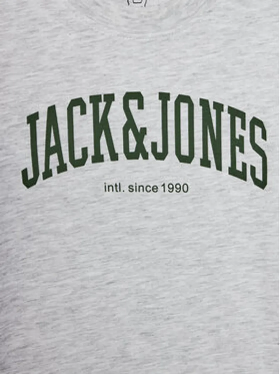 Jack&Jones Junior T-Shirt 12237441 Grau Regular Fit