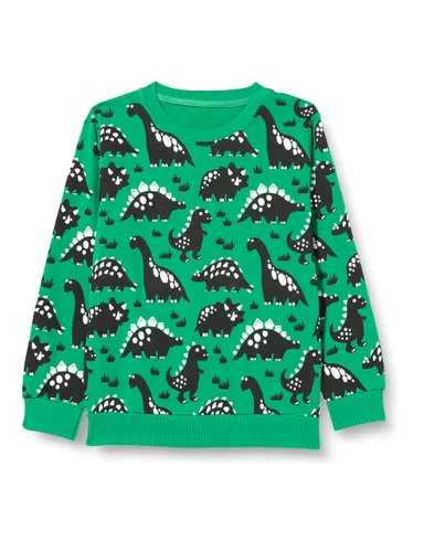 Little Hand Jungen Pullover Kinder Sweatshirt Dinosaur