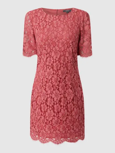 Montego Kleid aus Spitze in Pink