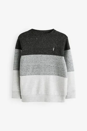 Next Langarmshirt Sweatshirt mit Rundhalsausschnitt und Blockfarben (1-tlg)