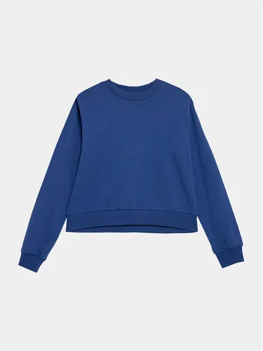 Outhorn Sweatshirt OTHAW23TSWSF668 Blau Regular Fit