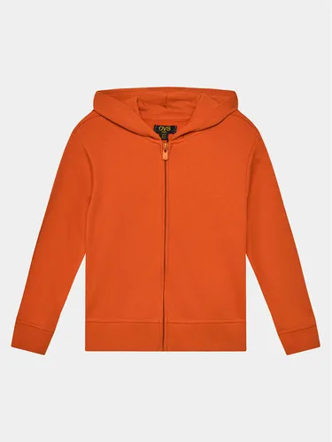 OVS Sweatshirt 1896509 Orange Regular Fit