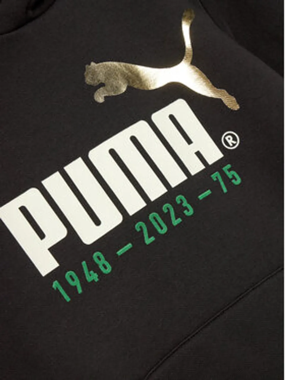 Puma Sweatshirt No.1 Logo Celebration 676826 Schwarz Regular Fit