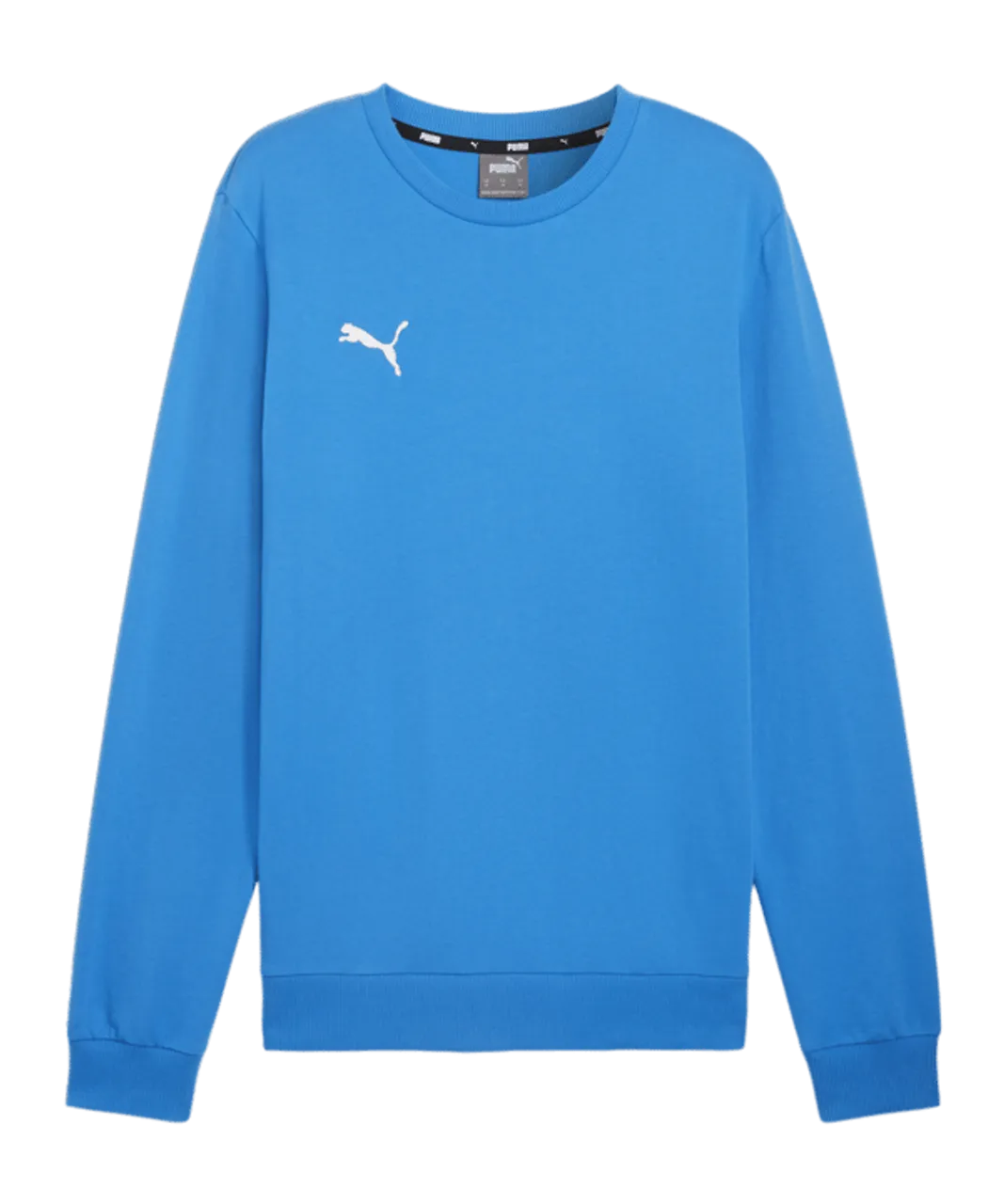 PUMA teamGOAL Casuals Sweatshirt Blau F02