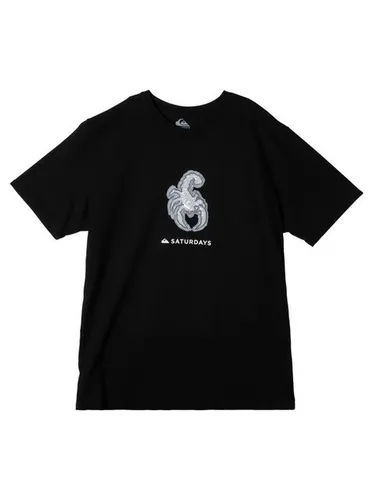Quiksilver T-Shirt Snyc Graphic