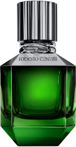 Roberto Cavalli Paradise Found For Men Eau de Toilette (EdT) 50 ml