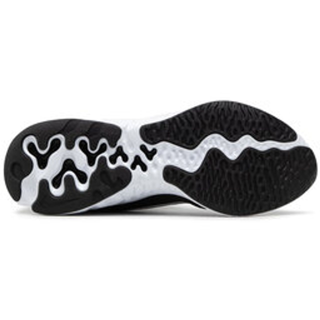 Schuhe Nike Renew Run 2 CU3504 005 Black/White/Dk Smoke Grey