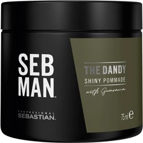 Sebastian Seb Man The Dandy Light Hold Pomade Fiber & Gum Herren