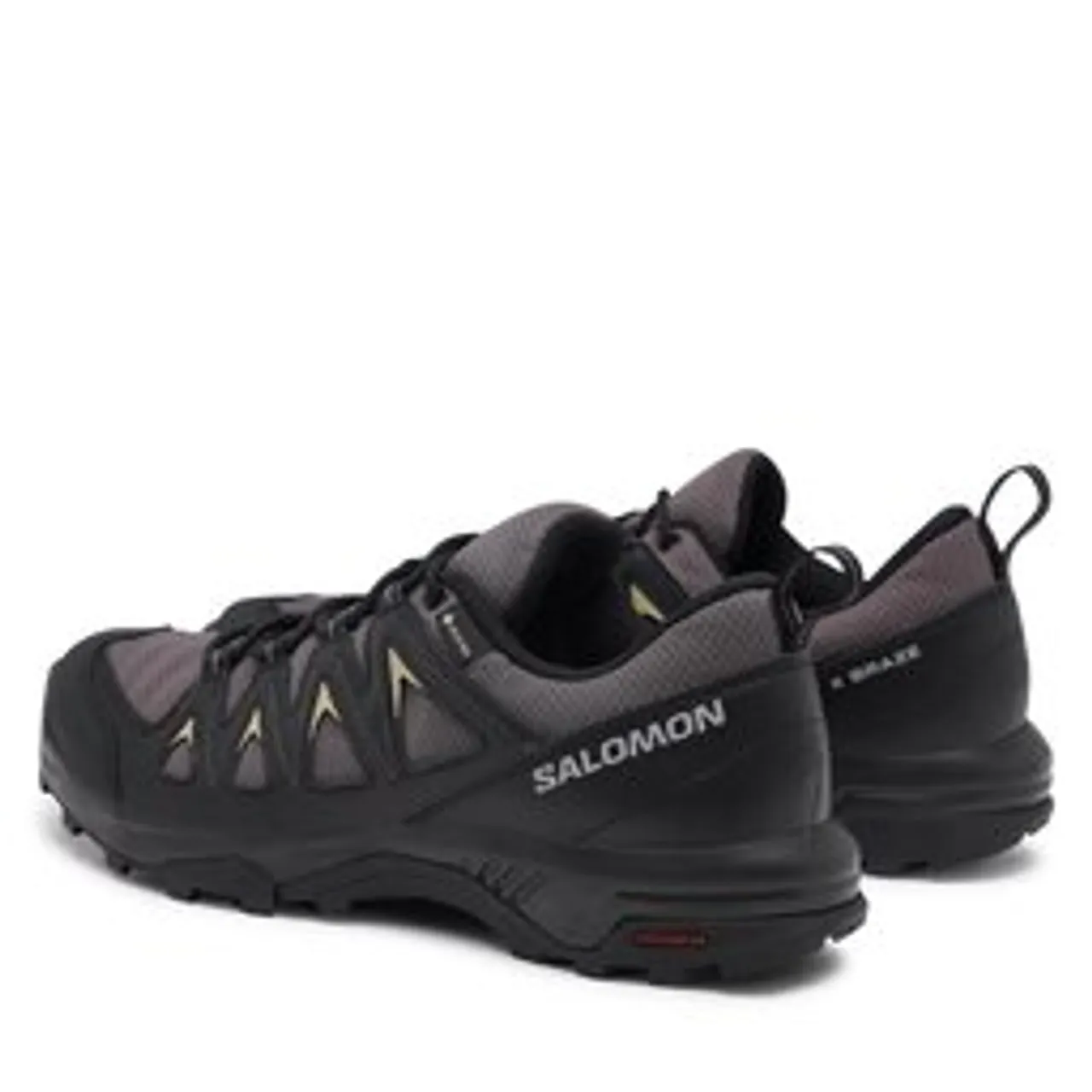 Sneakers Salomon X Braze GORE-TEX L47180500 Grau