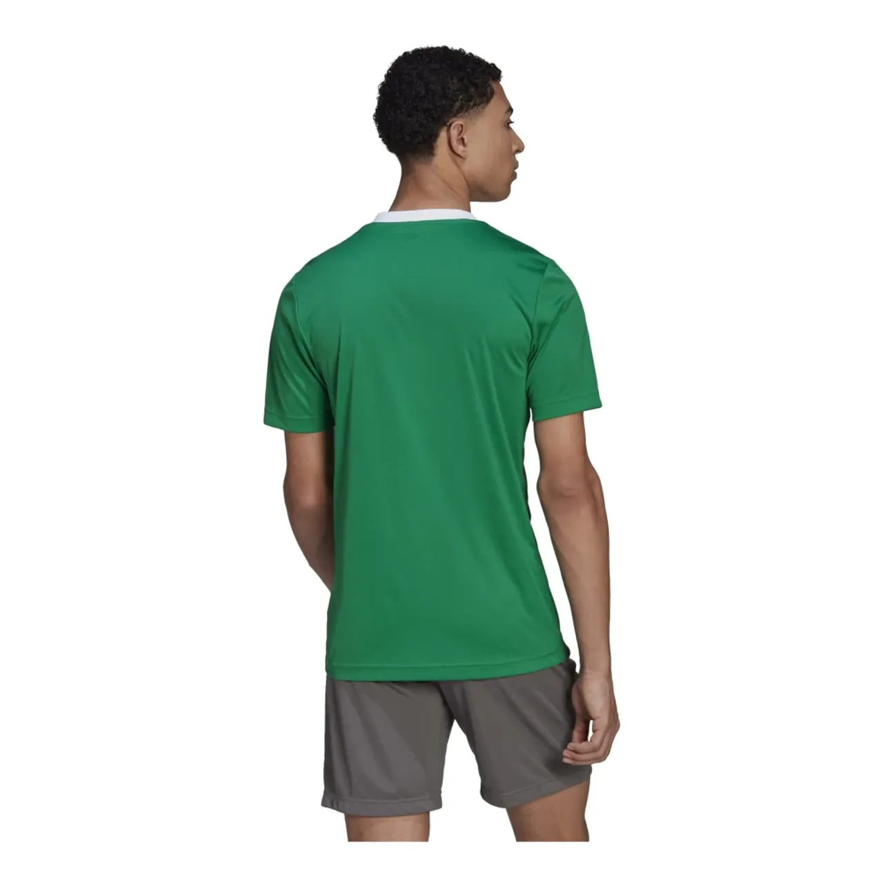 T-Shirt Ent22 Jsy Teagrn/W Adidas