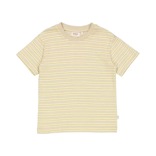 T-Shirt FABIAN STRIPE in grau/beige
