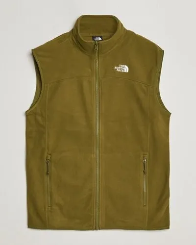 The North Face Glaicer Fleece Vest New Taupe Green