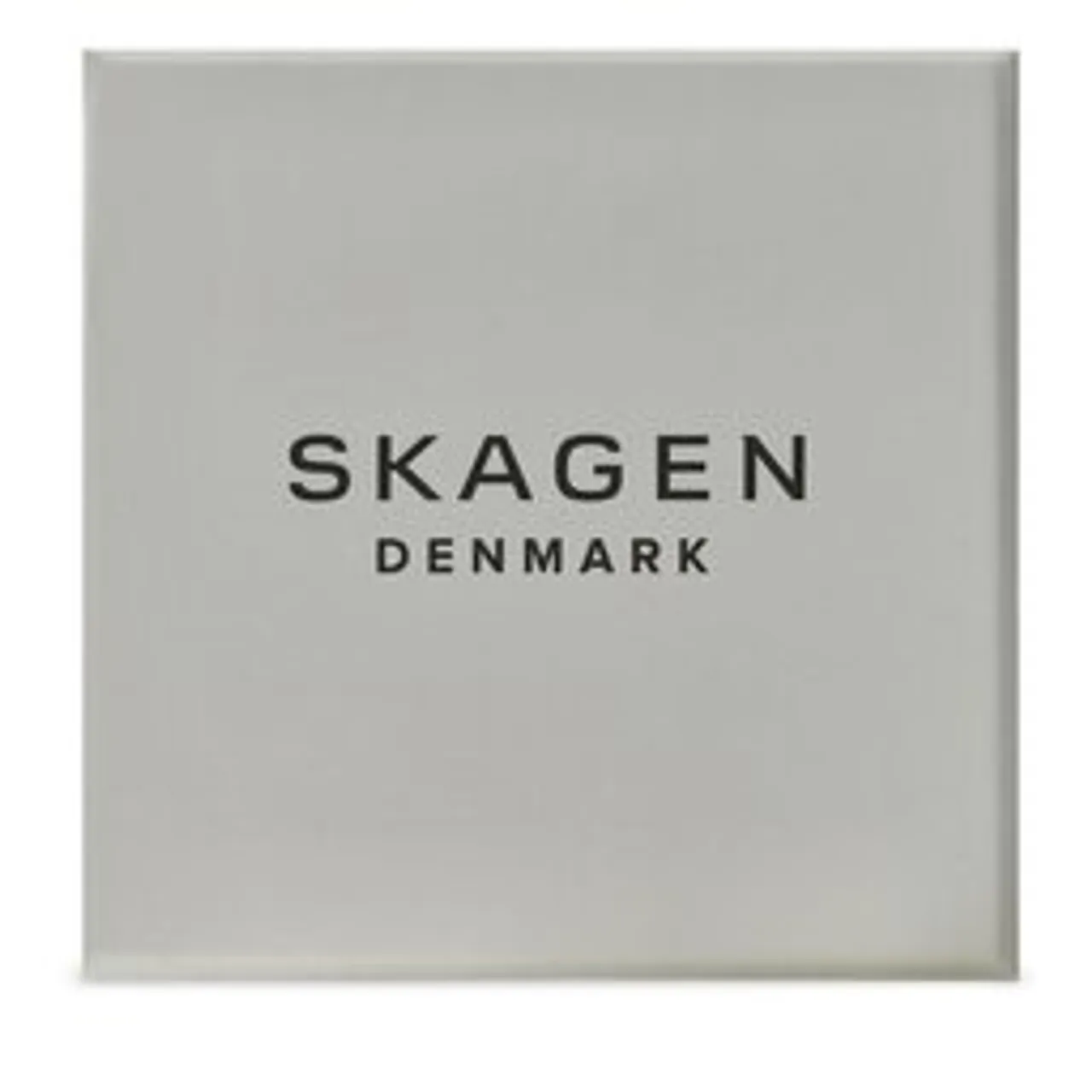 Uhr Skagen SKW6872 Silver