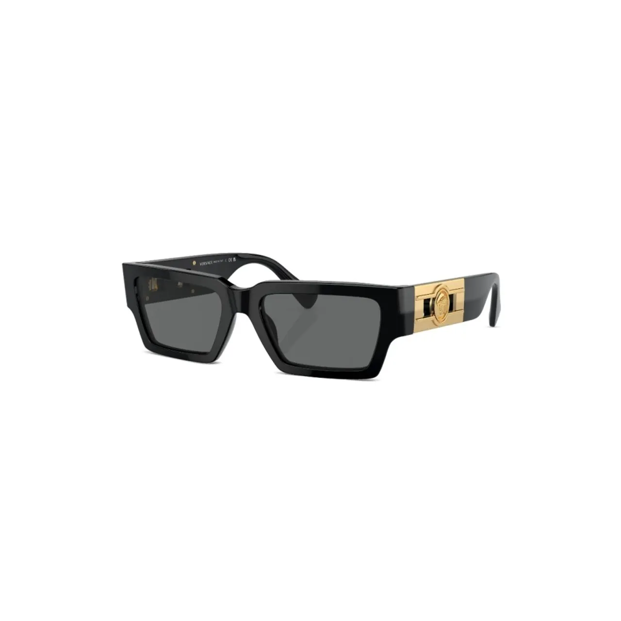 Ve4459 Gb187 Sunglasses Versace